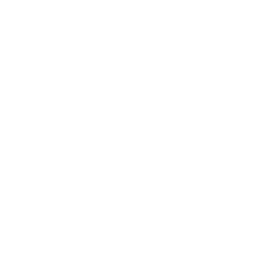 webServer project image